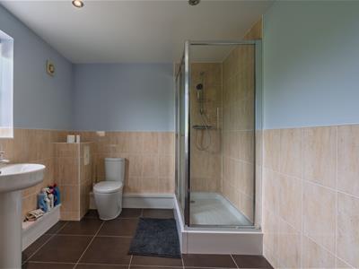 Picture 43
